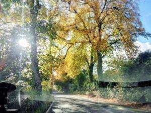 Chandler Ranch Llandovery Cynghordy