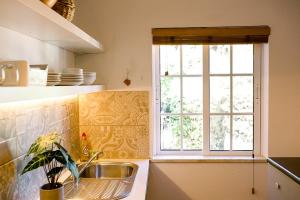 Hidden Gem with Pool & Garden in Historical Center