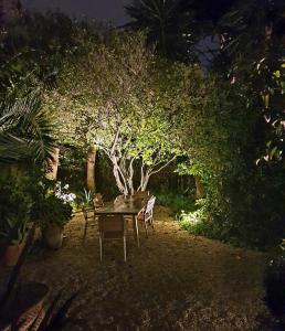 Hidden Gem with Pool & Garden in Historical Center