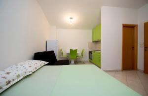 Studio Apartment Tesija