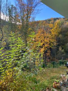 Privat Zimmer Sanela