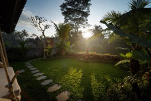 Sunrise Swing Paradise