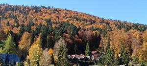 Studio Mountain View