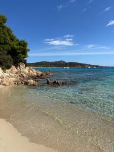 Il Fico di Mare - 100m from the beach img21