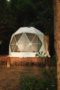 Bubble Paradise, Koh ta Kiev