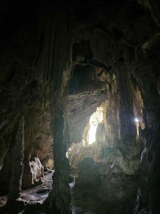 Camping phutajoy Khaosok แคมป์ปิ้งภูตาจ้อยเขาศก