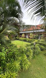 Made Cayon Canggu Stay and Surf By SDM Management