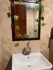 Royal premium studio