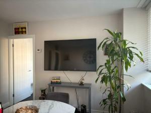 Bright 3BDR Apartment with Balcony in Central Hove