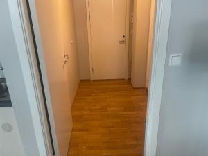 Grand center apartment