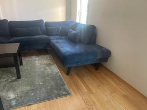 Grand center apartment