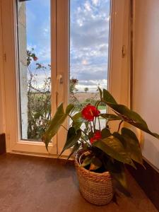 La Maisonnette de Chevannes