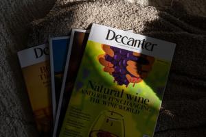 Urban and Cozy 1BDR APT, Garage parking