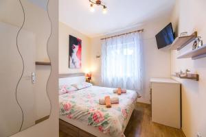 Apartman Jasna 