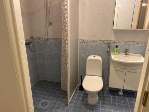 Valoisa saunallinen luhtitalokaksio Joupista