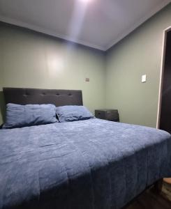 Piscinas y cabañas llancanao