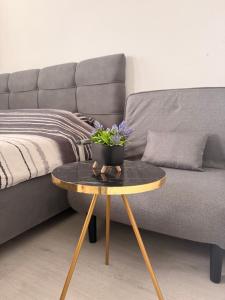 M & M Apartment