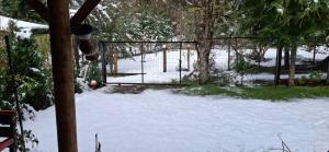 Cabañas bello horizonte