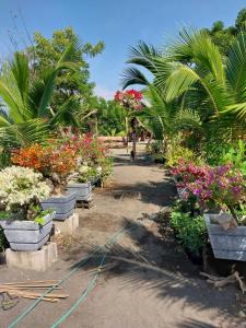 Beachfront Aircon Modern Bahay Kubo for 10 pax