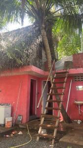 Lingaa beach view hut house