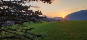 Ferienwohnung Naturblick