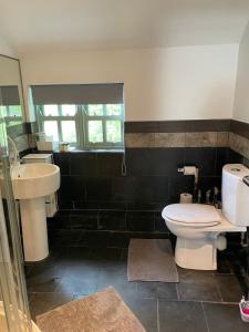 Hagg Hill Farm - Dog & Horse Friendly Near Newcastle