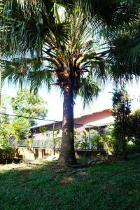 Casa Varanda Por do Sol - Piscina Climatizada - Dentro da Cidade