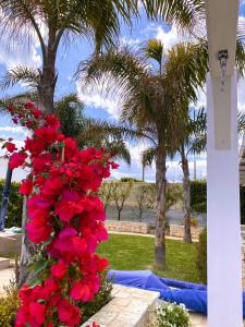 Villa Romolo a 150 mt dal mare