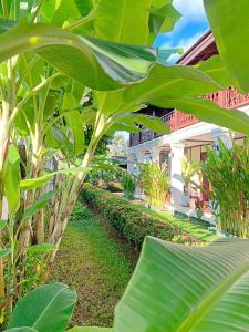 Luang Prabang Residence - The Boutique Villa