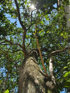 Lanka Villas Holiday Resort