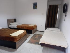 Siwa Safari Paradise Hotel