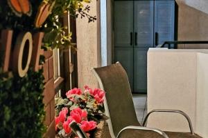 Cosy flat with large balcony