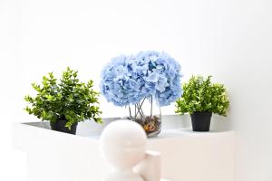 Bright Fitzrovia 2 Bed Apartments