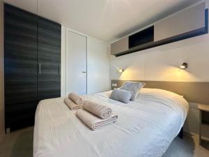 Mobil-home camping 4 étoiles à Valras-Plage Clim Piscine Proche Mer 6 à 8 pers