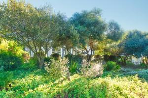 On Golf Estate Sea & Mountain Views Design Winner