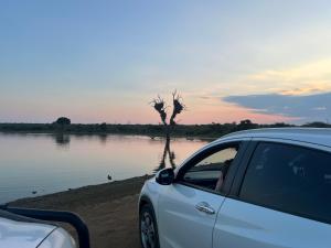 Tanyas Tent Hire Johannesburg