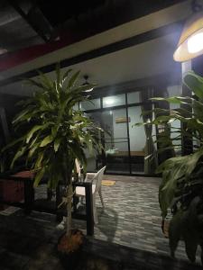 PhuketAirportCamping