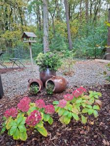 Theressa - Free Wifi en Netflix