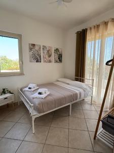 La collina dei venti