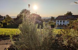 Ferienwohnung EG mit Bergblick