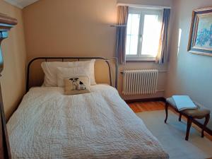 Large Home in Country near Zurich