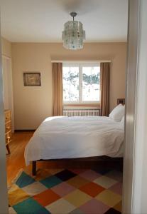 Large Home in Country near Zurich