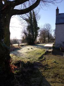 Barn Retreat with Mountain Views