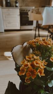 Varázskuckó Apartman