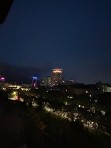 Penthouse city centre