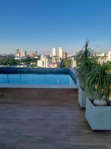 Charming Studio with Terrace in Equipetrol