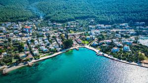 Oscar Seaside & Spa Hotel by Club Aquarium