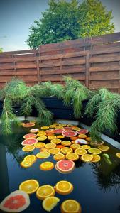 ForRest будинок з чаном