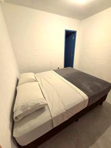 Sea Wolf Surf Hostel Campeche