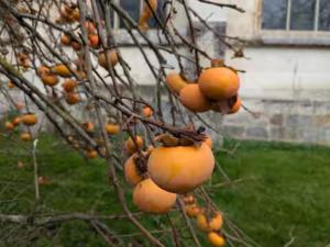 Château Studio With Water Views